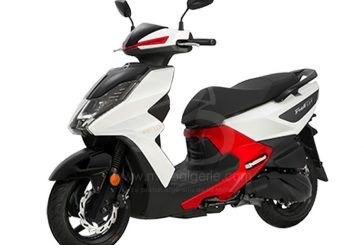 SYM FNX 125 2019