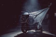 Indian FTR Black Swan par Workhorse Speed Shop